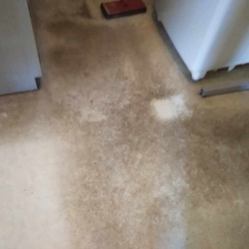 剥離作業をする前の床
