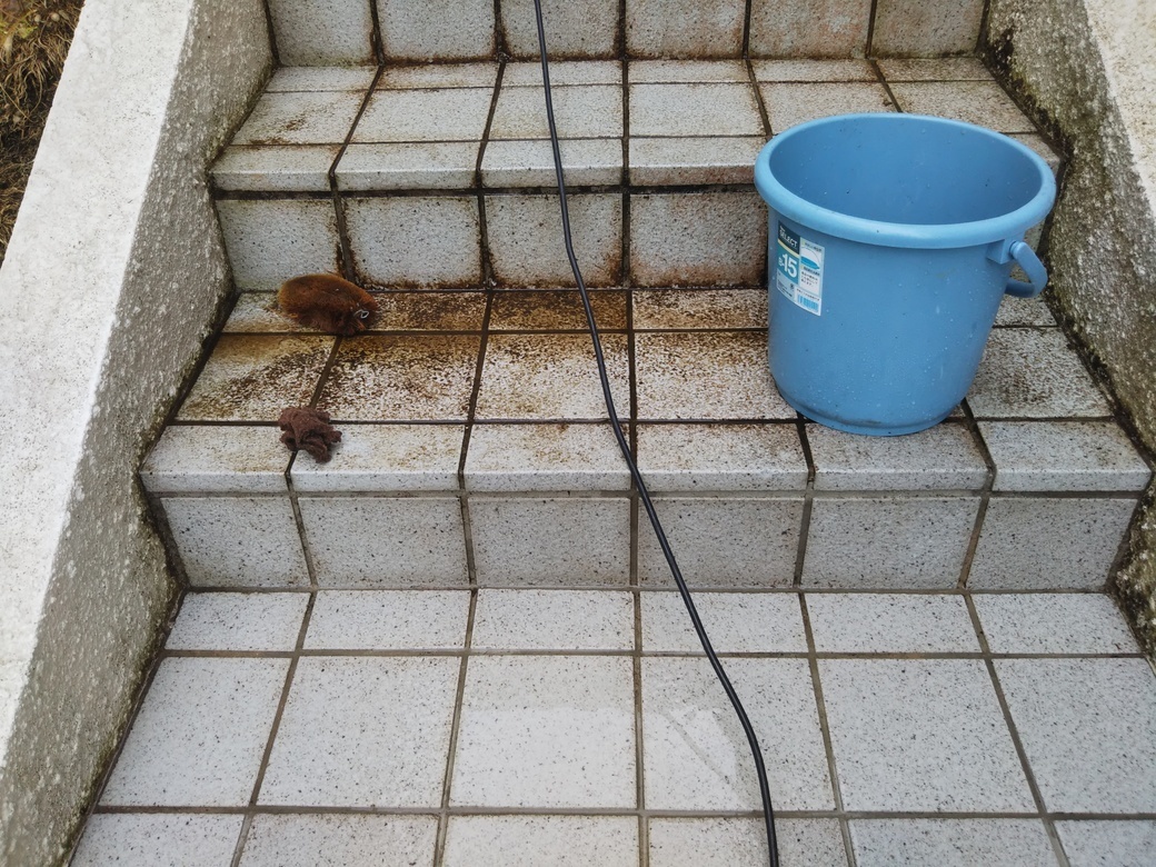 石階段を洗浄