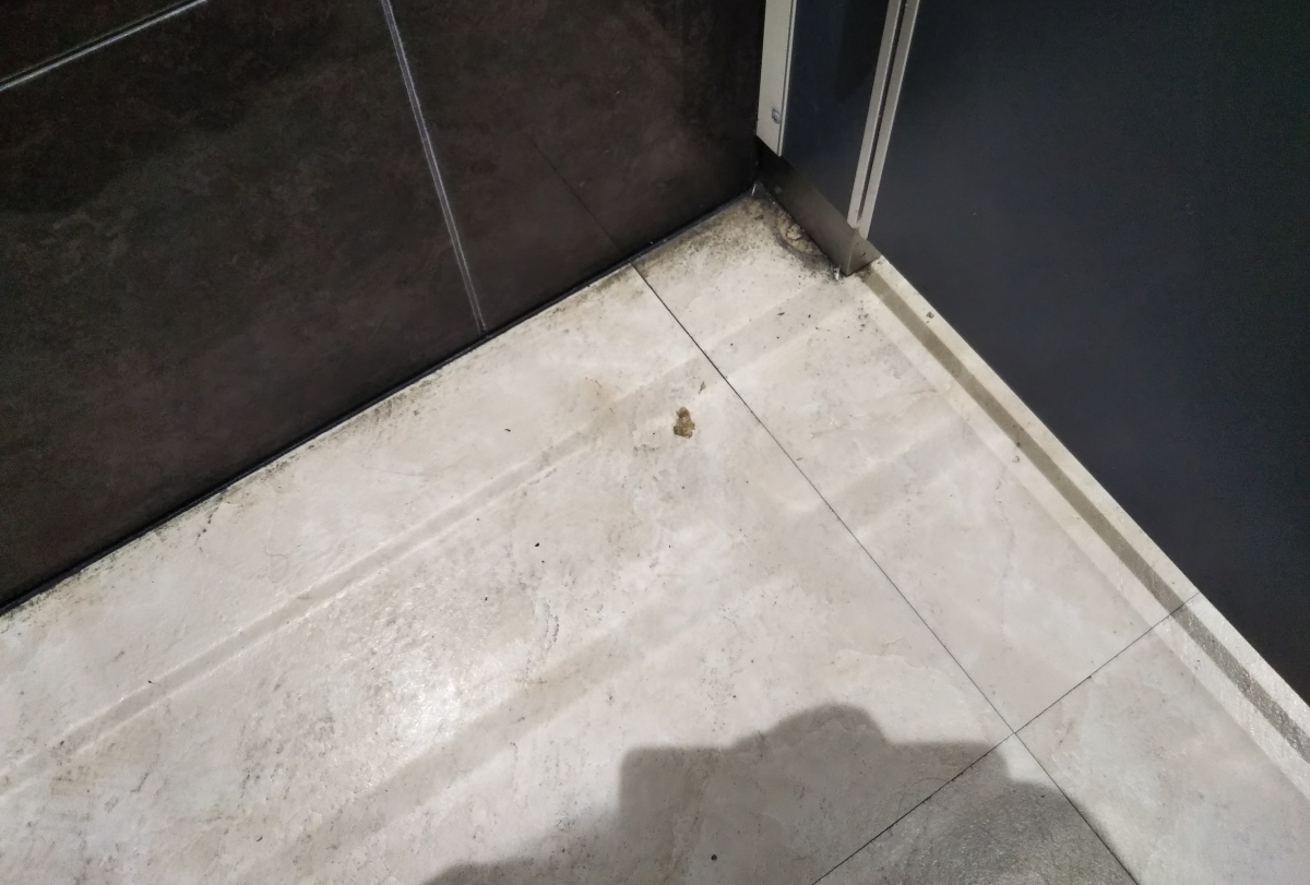 トイレ個室内「床のすみ」
