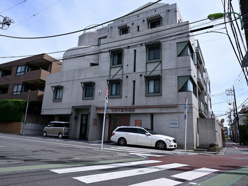 羽根木イースト