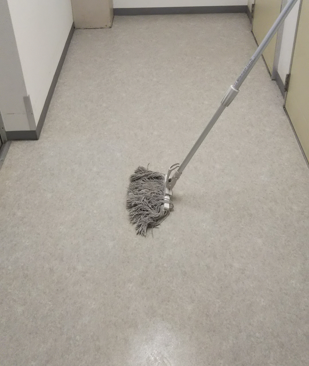 床をモップで拭き上げる